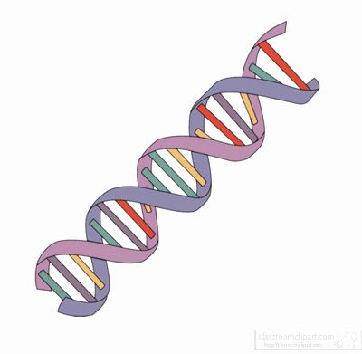 dna-strands-animated.gif Biology Animation, Dna Animation, Notion Gif, Dna Tattoo, Science Clipart, Animated Clipart, Classroom Clipart, Gif Icons, Icon Gif