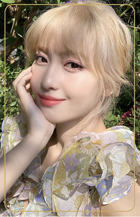 #momo #twice #photocard #more&more #kpop #album #álbum Momo More & More, More More Twice, Twice More & More, Theme Nature, Minatozaki Sana, Hirai Momo, Trik Fotografi, More More, Infp