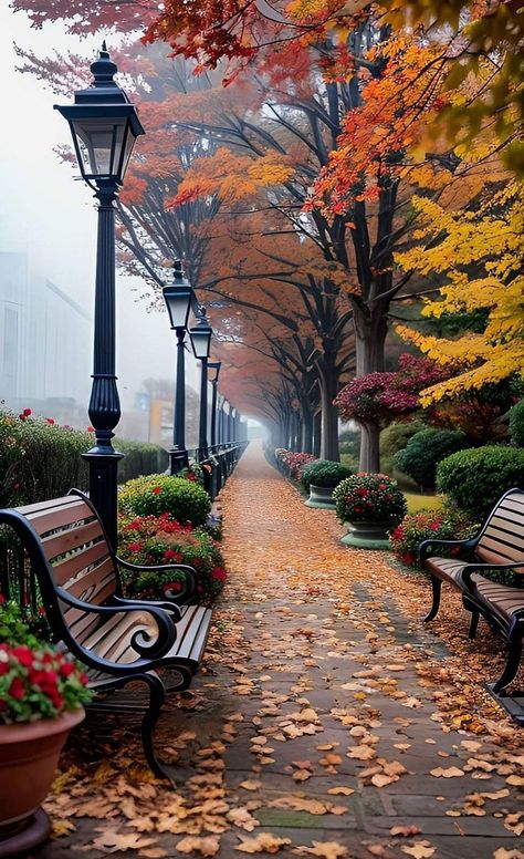 Park Benches, Background Designs, New England Fall, Visual Board, Autumn Scenes, Art Gallery Wallpaper, Autumn Scenery, Beautiful Landscape Wallpaper, Autumn Beauty