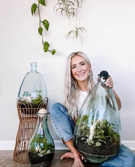 Hanging Plant Terrarium, Self Watering Terrarium, Terrarium Self Sustaining, Diy Large Terrarium, Walk In Terrarium, Glass Terrarium Ideas Easy Diy, Tropical Plant Terrarium, Self Sustaining Ecosystem In A Jar, Ecosystems Terrarium