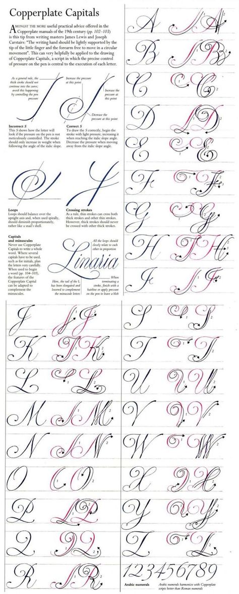 Tato Mandala, Fancy Cursive, Alfabet Font, Calligraphy Fonts Alphabet, Fancy Writing, Lettering Styles Alphabet, Calligraphy Tutorial, Copperplate Calligraphy, Calligraphy For Beginners