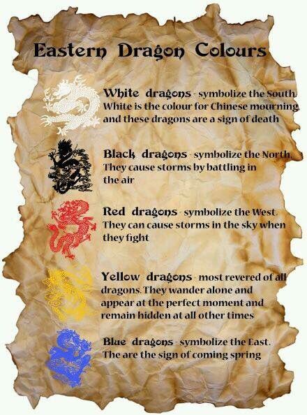 Eastern dragon colors Dragon Meaning, Dragon Quotes, Dragon Energy, Dragon Chino, Eastern Dragon, Cardinal Directions, Dragon Dreaming, Magia Das Ervas, Animal Spirit Guides