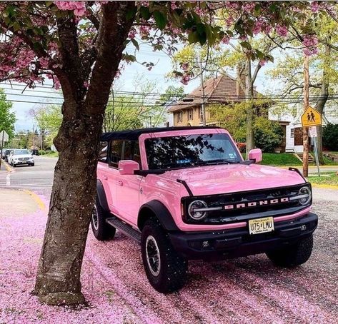 Tree With Pink Flowers, Bronco Car, Pink Jeep, Classic Ford Broncos, Girly Car Accessories, Pick Up Truck, Dream Cars Jeep, Girly Car, Bronco Sports