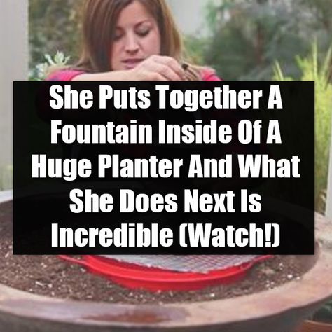 She Puts Together A Fountain Inside Of A Huge Planter And What She Does Next Is Incredible (Watch!) Large Diy Planters, Huge Planters, Sitting Outside, Diy Fountain, Human Ear, Large Planters, Diy Planters, Concrete Diy, Facebook Image