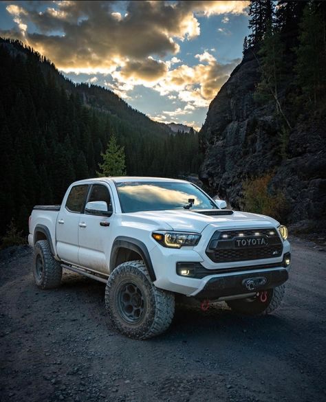 White Tacoma, Tacoma Camper, Tacoma Overland, White Toyota, Us Pics, Toyota Tacoma Mods, Tacoma Mods, Tacoma 4x4, Tacoma World