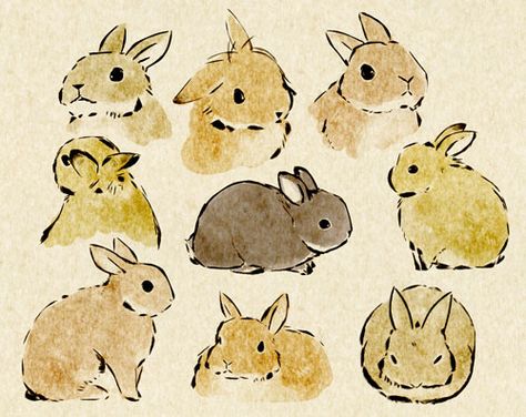 bunny sketches   . . . .   ღTrish W ~ http://www.pinterest.com/trishw/  . . . .  #art #journal Bunny Sketches, 동화 삽화, Art Mignon, Rabbit Art, Bunny Art, Art Et Illustration, Watercolor Paint, 귀여운 동물, Art Sketchbook