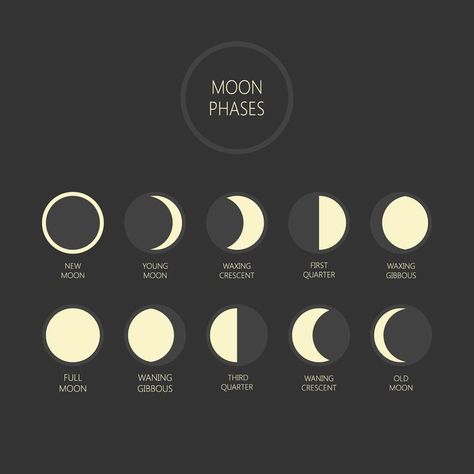 New Moon Meaning, Full Moon Cycle, Moon Stages, Full Moon Phases, New Moon Phase, Moon Meaning, Moon Orbit, Next Full Moon, Moon In Leo