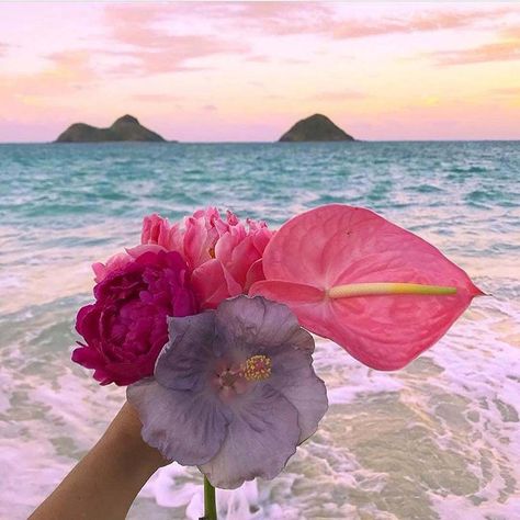 Lanikai Beach, Beach Flowers, Hawaii Luau, Flower Therapy, Tropical Vibes, Exotic Flowers, Hibiscus Flowers, Beach Vibe, Happy Weekend