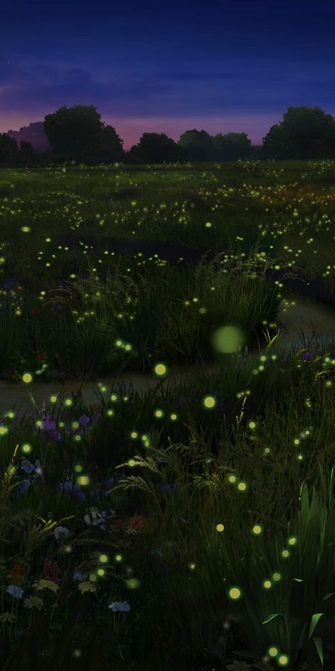 Lightning Bug Wallpaper, Firefly Field Aesthetic, Fireflies In The Woods, Fire Fly Lights, Fire Flies Photography, Firefly Aesthetic Wallpaper, Field Of Fireflies, Firefly Forest Painting, Catching Fireflies Aesthetic