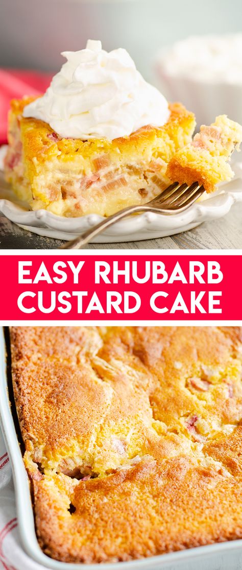 Rhubarb And Custard Recipes, Rhubarb Custard Cake, Rhubarb Custard Bars, Easy Rhubarb Recipes, Rhubarb Desserts Recipes, Rhubarb Dump Cakes, Rhubarb Cake Recipes, Rhubarb Scones, Best Rhubarb Recipes