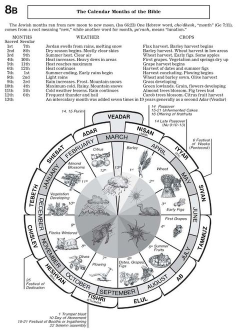 Hebrew Calendar, Hebrew Months, Prayer For Studying, Bible Genealogy, Hebrew Vocabulary, Hebrew Lessons, Biblical Hebrew, Bible In A Year, Bible Study Topics