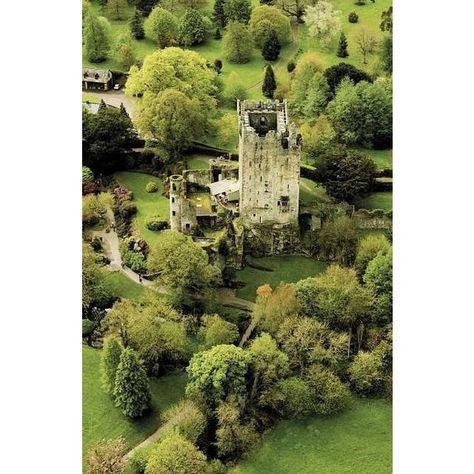 Castles by the sea ❤ liked on Polyvore featuring backgrounds, photos, castles, art and pictures Blarney Castle Ireland, Blarney Castle, Castle Ireland, Blarney Stone, Irish Castles, County Cork, Ireland Landscape, Photographer Inspiration, Ireland Vacation