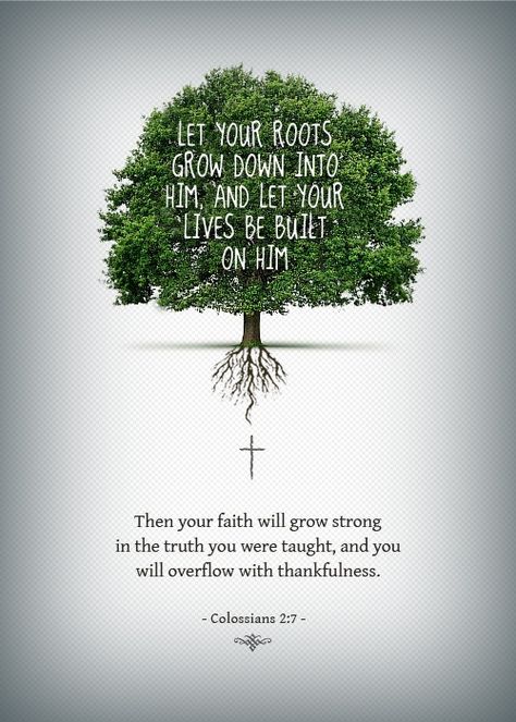 Let your roots grow down into him, and let your lives be built on him. Then your faith will grow strong in the truth you were taught, and you will overflow with thankfulness. -- Colossians 2:7 Tree With Roots, Woord Van God, Colossians 2, Ayat Alkitab, Foto Art, Love The Lord, Walk By Faith, Spiritual Inspiration, Christian Inspiration