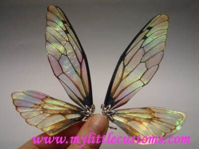 Fairy Wing Tutorials wings made out of something called Angelina Film that you can get at a hobby store. Beautiful! Eiko Ishioka, Polymer Clay Kunst, Dragonfly Wings, Faeries Gardens, Beautiful Fairy, Fairy Crafts, Diy Fairy, Doll Tutorial, Fairy Wings