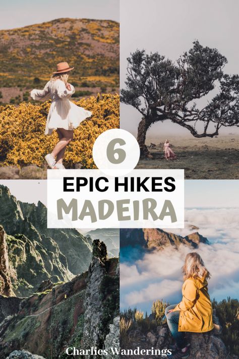 Top 6 Best Hiking Trails in Madeira - Charlies Wanderings Madeira Travel, Portugal Trip, Random Places, Travel Portugal, Gilgit Baltistan, Beautiful Hikes, Voyage Europe, Beautiful Castles, Portugal Travel