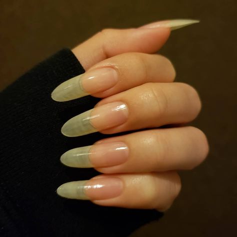 Long Real Nails, Extreme Long Nails, Real Long Nails, Natural Almond Nails, Nails Real, Rounded Acrylic Nails, Natural Looking Nails, Long Natural Nails, Real Nails