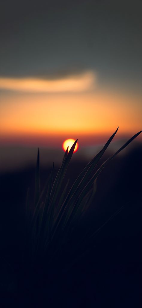 Sun Dawn, Sunset Iphone Wallpaper, Samsung Galaxy Wallpaper Android, Galaxy Wallpapers, Iphone Wallpaper Hd Nature, Car Wallpaper, Samsung Galaxy Wallpaper, Graffiti Wallpaper, Dark Phone Wallpapers