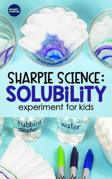 Vetenskapliga Experiment, Elementary Science Experiments, Science Experiments Kids Elementary, Science Experience, Science Experiment For Kids, Experiment For Kids, Kid Science, The Scientific Method, Summer Science