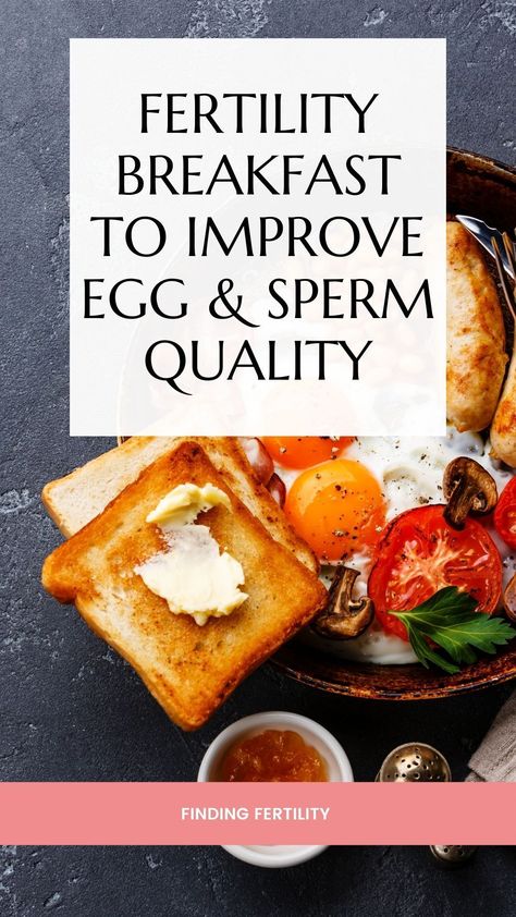 Fertility Boosting Dinner Recipes, Fertility Diet Breakfast, Fertility Friendly Breakfast, Breakfast For Fertility, It Starts With The Egg Fertility Diet, Foods To Improve Egg Quality, Egg Health Fertility, Fertility Breakfast Recipes, Fertility Foods For Him