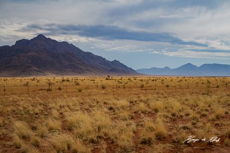 Road to Ludertz    |   somewhere, Namibia⠀⠀  View the rest of my #Namibia gallery here: www.krugerdeklerkphotography.com/galleries/namibia  #landscape #fortheloveofphotography #wanderlust #wander #africa #africanamazing #bucketlist #photography #photographer #canonphotography #teamcanon #CanonFavPic #explore #exploremore #travel #travelphotography #namib #horizon #loveafrica #optoutside #grasslands #savannah #veld #bush #bluemountain #mountains #roadtrip Save Nature, Southern Africa, Canon Photography, Landscape Nature, Africa Travel, Blue Mountain, Mountain View, Savannah, Savannah Chat