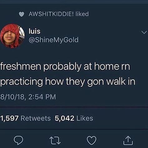 Freshman memes this year💀 Freshman Memes Funny, Freshman Memes, Freshman Quotes, College Lecture, School Is Killing Me, High School Memes, Kermit Meme, Classroom Memes, Funny Birthday Meme