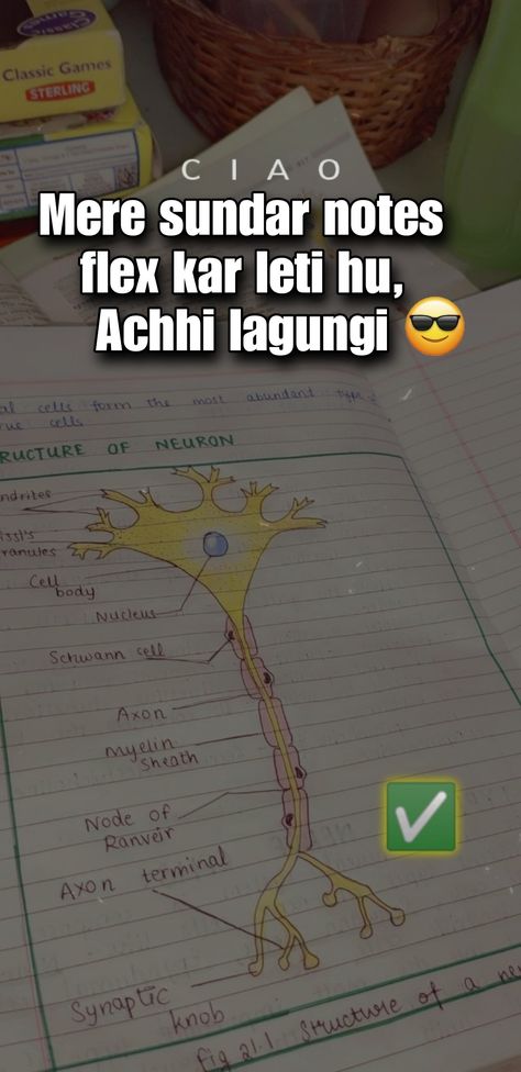 Desi Insta Notes Ideas, Study Asthetic, Desi Meme, Chemistry Quotes, Aesthetic Dp, Funny Bio, Studying Funny, Student Jokes, Teacher Quotes Funny