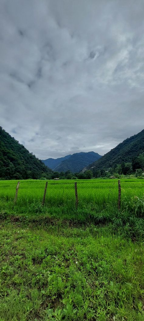 North of iran North Of Iran, Iran Nature, Iran, Forest, Nature