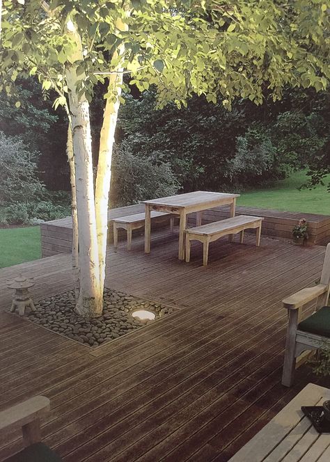 Decking Around A Tree, Tree Growing Through Deck, Tree In Decking, Tree In Deck, Deck With Tree In Middle, Under Tree Seating Area Ideas, Patio With Tree In Middle, Deck With Trees Through Them, Around A Tree Landscaping