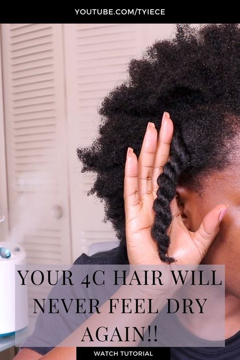 Moisturizer For 4c Natural Hair, How To Moisturize Dry Hair, Low Porosity 4c Hair, Afro Hair Routine, Low Porosity Hair Regimen, Moisturizing Natural Hair, 4c Natural Hair Care, Low Porosity Natural Hair, Moisturize Dry Hair