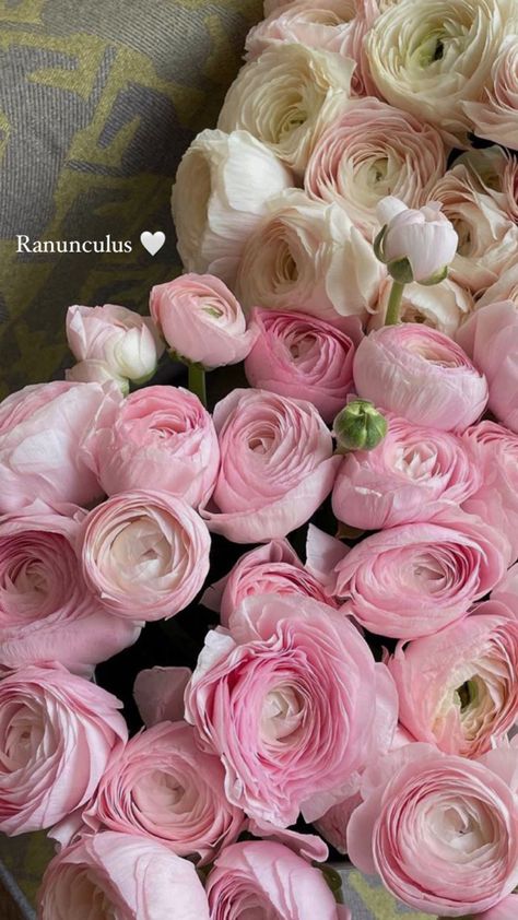 Ranaculous Bouquet, Ronoculous Bouquet, Ranunculus Bouquet Aesthetic, Runuculous Flower Bouquet, Raniculous Flower, Ranculus Flowers Bouquet, Peonies And Ranunculus Bouquet, Ranaculus Bouquet, Runuculous Flower