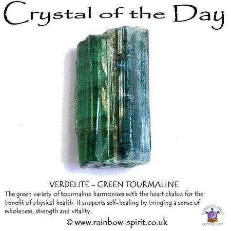 Verdelite  Green Tourmaline Tourmaline Meaning, Crystal Seashells, Green Tourmaline Crystal, Crystal Uses, Positive Vibrations, Crystal Power, Crystal Guide, Crystals Healing Properties, Spiritual Crystals