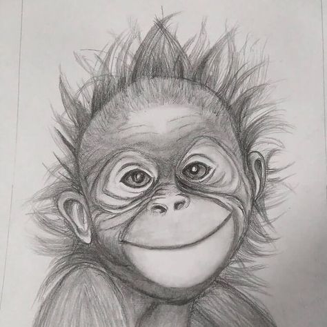 Below I’m sharing monkey pencil drawing ideas and references for everyone. That means no matter what your skill level, you’ll find the perfect monkey drawing for you. You'll also find chimpanzee and gorilla drawings too! Perfect Drawings Ideas, Monkey Sketch Easy, Monkey Drawings Easy, Giraffe Pen Drawing, Cute Monkey Drawing Easy, Monkey Painting Easy, How To Draw A Monkey, Hard Drawing Ideas Sketch, Drawings Of Monkeys