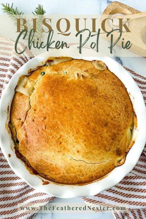 Chicken Pot Pie No Crust, Chicken Pot Pie Bisquick, Chicken Pot Pie With Bisquick, Quick Chicken Pot Pie Recipe, Bisquick Pot Pie Recipe, Bisquick Chicken Pot Pie, Homemade Pot Pie, Spinach Puffs, Easy Fall Dinner Recipes