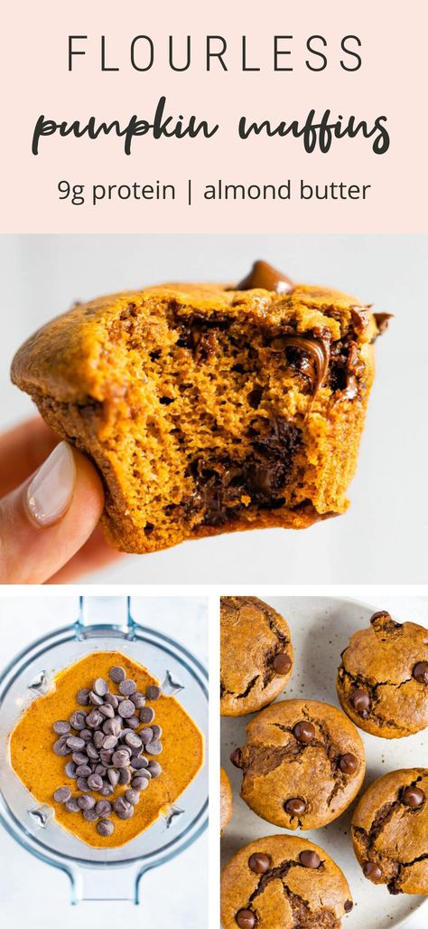 Flourless Pumpkin Muffins, Pumpkin Muffins With Chocolate Chips, Muffin Pumpkin, Healthy Pumpkin Chocolate Chip Muffins, Paleo Pumpkin Recipes, Pumpkin Protein Muffins, Paleo Pumpkin Muffins, Muffins With Chocolate Chips, Muffins With Chocolate