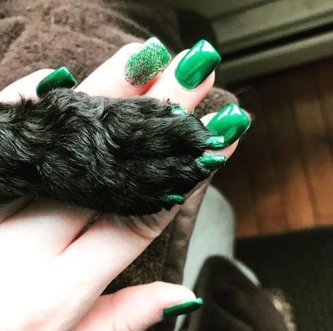 People Are Now Getting Matching Pawdicures With Their Dogs Matching Nails, Formula Cans, Dog Nails, Pedicures, Dogs Of The World, New Trend, The Salon, Nail Polish Colors, French Manicure