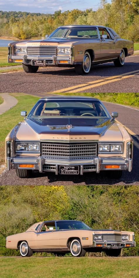 Old School Cars Vintage, 1990 Cars, Old Cadillac, Vintage Cadillac, Most Luxurious Car, Roll Royce, Old Sports Cars, Classic Cadillac, Carros Vintage