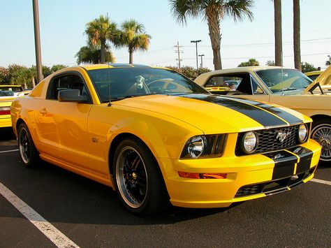 my drream carr Yellow Mustang, 2010 Ford Mustang, Ford Mustang Coupe, Transformers Funny, Stick Shift, Yellow Car, Pony Car, Street Racing, Ford Mustang Gt