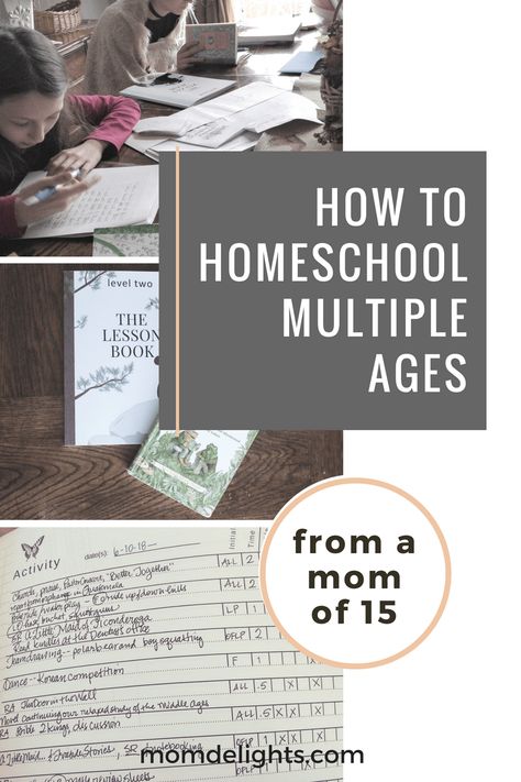 How to Homeschool Multiple Ages • Mom Delights Homeschooling Multiple Ages, Christian Homeschool Curriculum, Relaxed Homeschooling, Home Education Uk, How To Homeschool, Christian Homeschool, Homeschool Programs, School Plan, Homeschool Encouragement