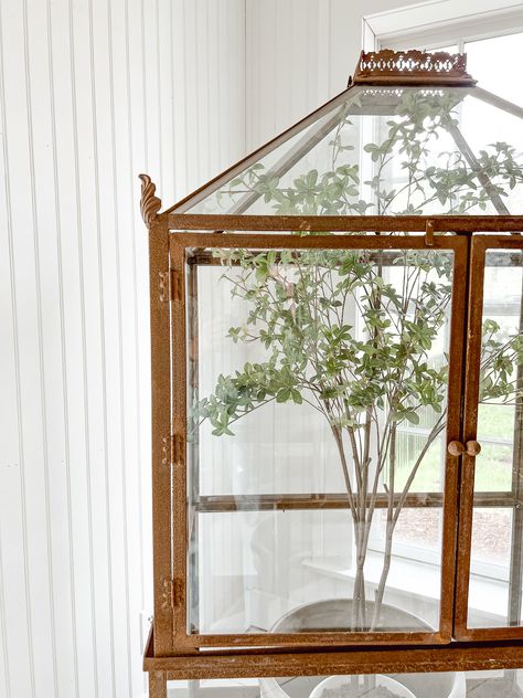 Turtle Tank Setup, Tabletop Terrarium, Cozy White Cottage, Wardian Case, Large Terrarium, Metal Building House Plans, Diy Tank, Turtle Tank, Bird Cage Decor