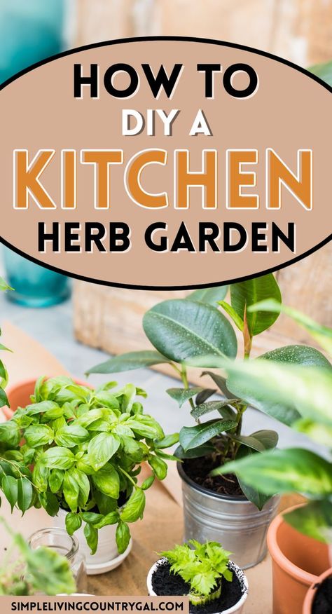 Diy Garden Window, Kitchen With No Window, Garden Window Kitchen, Simple Diy Kitchen, Growing Herbs Outdoors, Make Your Own Kitchen, Kitchen Herb Garden, Window Herb Garden, Growing Herbs Indoors