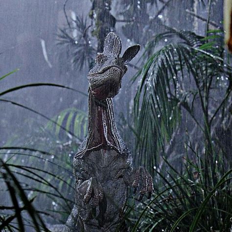 Jurrasic World Aesthetic, Jurassic Aesthetic, Jurassic Park Aesthetic, Jurrasic World, Dinosaur Rawr, Jurassic Park Series, Jurassic Park Film, Park Aesthetic, Jurassic Park 1993