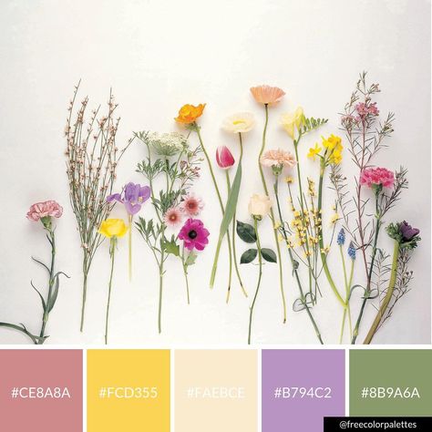 Floral | Flowers | Spring | Flatlay |Color Palette Inspiration. | Digital Art Palette And Brand Color Palette. Color Palette Flowers, Spring Flatlay, Wildflower Theme, Cottagecore Flowers, Color Palette Inspiration, Art Museum Wedding, Flower Mural, Wild Flower Meadow, Art Palette