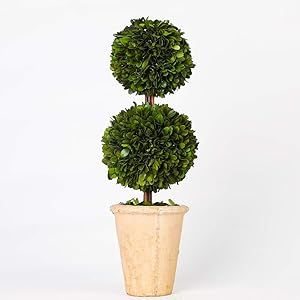 Mossy Stone, Preserved Boxwood Topiary, Fireplace Decorating, Ball Topiary, Stone Planter, Georgia House, Orchid Leaves, Dallas House, Preserved Boxwood