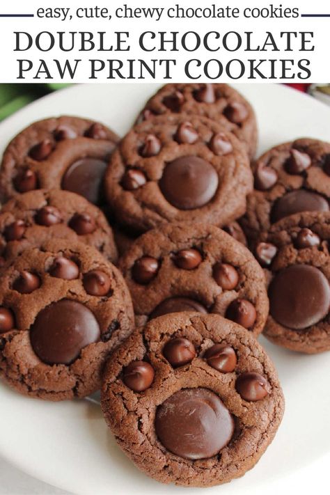 Double chocolate paw print cookies are as tasty as they are cute. They are built on a chewy chocolate blossom cookie with tasty chocolate paws on top. They are cute for Christmas, for pet lovers, as team mascot cookies, and more! Paw Shaped Cookies, Dog Paw Cookies, Dog Decorated Cookies, Bingo Cookies, Animal Shaped Cookies, Bear Paw Cookies, Animal Desserts, Paw Print Cookies, Animal Baking