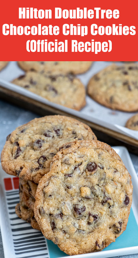 Hilton DoubleTree Chocolate Chip Cookies (The Official Recipe) - Manila Spoon Doubletree Chocolate Chip Cookies, Doubletree Chocolate Chip Cookie Recipe, Doubletree Cookie Recipe, Doubletree Cookies, Amazing Cookie Recipes, Mouthwatering Desserts, Cookie Shop, Strawberry Dessert, Frozen Cookies