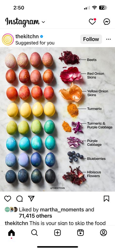 Entertaining Snacks, Pine Needle Crafts, Naturally Dyed Easter Eggs, Easter Dishes, Easter Egg Dye, Purple Cabbage, Dutch Recipes, Easter Traditions, Coloring Easter Eggs