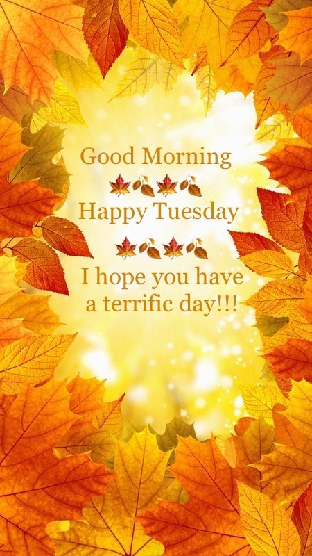 Happy Tuesday Pictures, Happy Tuesday Images, Great Day Quotes, Happy Tuesday Morning, Tuesday Quotes Good Morning, Tuesday Images, Tuesday Greetings, Happy Tuesday Quotes, Good Morning Tuesday