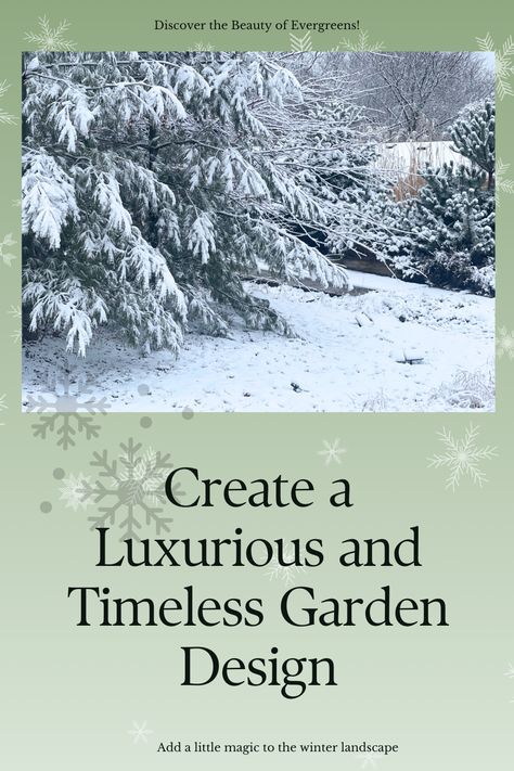 Evergreens are vital to form structure in a garden. Whether they are large such as pines or spruce trees or lower shrubby conifers, they play an important roles in our gardens. Here are some tips on how to use evergreens in our landscapes to provide structure and interest year round, but especially during the winter months when our gardens may lack structure and beauty that they have in summer. Landscape ideas | Evergreens in the winter garden | garden tips | Winter garden ideas Spruce Trees Landscaping Ideas, Evergreen Landscape Front Yard, Winter Garden Ideas, Creeping Juniper, Cabin Landscape, Mugo Pine, Small Evergreen Shrubs, Evergreen Landscape, Conifers Garden