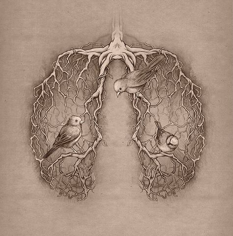 Lovely illustration by Katerina Eremeeva. Lungs Art, Punk Art, Anatomy Art, Lungs, Tattoos And Piercings, I Tattoo, Amazing Art, Beautiful Art, Art Tattoo