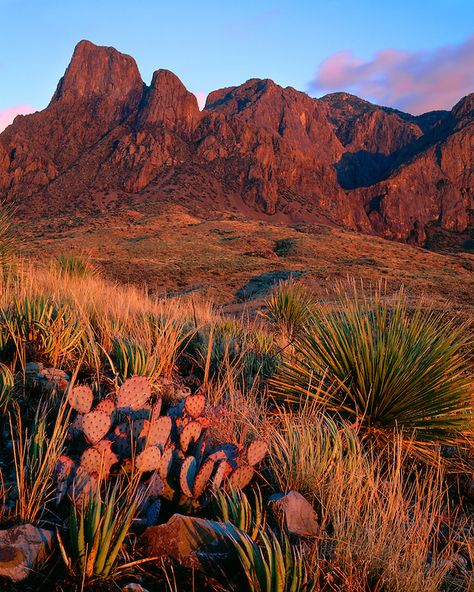 Orange Mountain Aesthetic, Big Bend Photography, Big Bend Texas, Desert Mountains Landscapes, Big Bend National Park Photography, Canyon Mountains, Brown Mountains, Western Mountains, Desert National Park